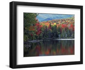 Shoreline of Heart Lake, Adirondack Park and Preserve, New York, USA-Charles Gurche-Framed Photographic Print