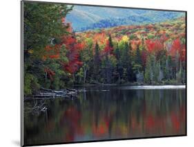 Shoreline of Heart Lake, Adirondack Park and Preserve, New York, USA-Charles Gurche-Mounted Photographic Print