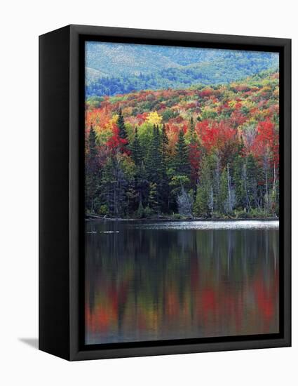 Shoreline of Heart Lake, Adirondack Park and Preserve, New York, USA-Charles Gurche-Framed Stretched Canvas