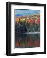 Shoreline of Heart Lake, Adirondack Park and Preserve, New York, USA-Charles Gurche-Framed Premium Photographic Print