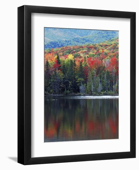 Shoreline of Heart Lake, Adirondack Park and Preserve, New York, USA-Charles Gurche-Framed Premium Photographic Print