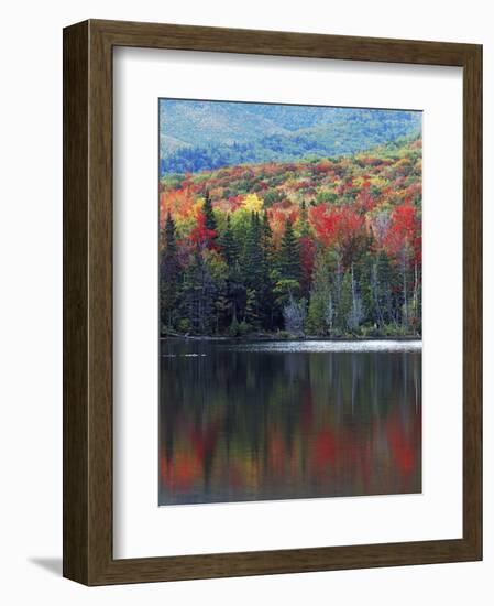 Shoreline of Heart Lake, Adirondack Park and Preserve, New York, USA-Charles Gurche-Framed Photographic Print