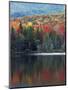 Shoreline of Heart Lake, Adirondack Park and Preserve, New York, USA-Charles Gurche-Mounted Photographic Print