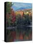 Shoreline of Heart Lake, Adirondack Park and Preserve, New York, USA-Charles Gurche-Stretched Canvas