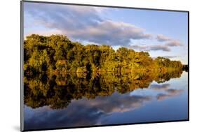 Shoreline of the Erie Canal in Fultonville, New York, USA-Joe Restuccia III-Mounted Photographic Print