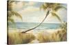 Shoreline Palms I-Marc Lucien-Stretched Canvas
