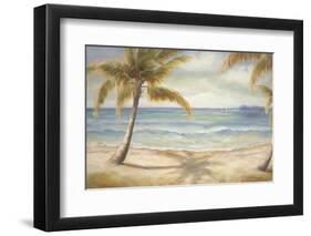 Shoreline Palms II-Marc Lucien-Framed Art Print