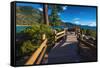 Shoreline path at Sand Harbor State Park, Lake Tahoe, Nevada, USA-Russ Bishop-Framed Stretched Canvas