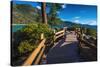 Shoreline path at Sand Harbor State Park, Lake Tahoe, Nevada, USA-Russ Bishop-Stretched Canvas