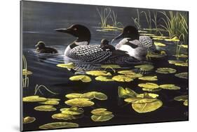 Shoreline Refuge - Loon Family-Wilhelm Goebel-Mounted Premium Giclee Print