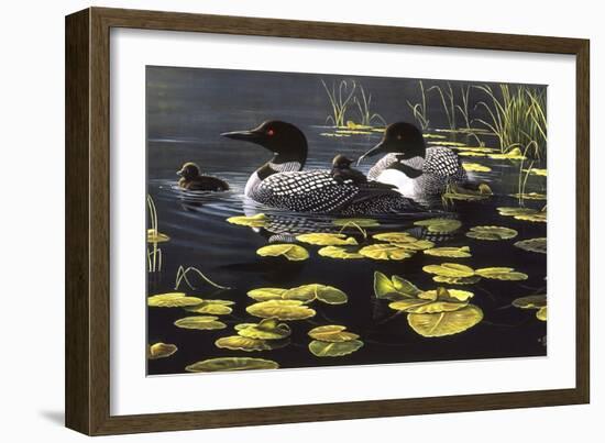 Shoreline Refuge - Loon Family-Wilhelm Goebel-Framed Giclee Print