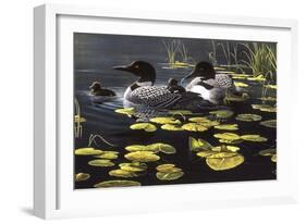 Shoreline Refuge - Loon Family-Wilhelm Goebel-Framed Giclee Print