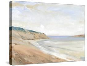 Shoreline Study I-Tim OToole-Stretched Canvas