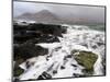 Shoreline with Approaching Squall, Loch Na Keal, Mull, Inner Hebrides, Scotland, UK, December 2007-Niall Benvie-Mounted Photographic Print