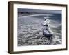 Shoreline with Waves Coming In, Pacific Beach, San Diego, California, USA-Ethel Davies-Framed Photographic Print