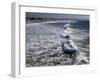 Shoreline with Waves Coming In, Pacific Beach, San Diego, California, USA-Ethel Davies-Framed Photographic Print