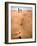 Shoremob-Craig Satterlee-Framed Photographic Print