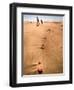 Shoremob-Craig Satterlee-Framed Photographic Print