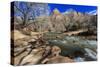 Shores of the Virgin River and Winter Trees, Pa'Rus Trail, Zion National Park, Utah, Usa-Eleanor Scriven-Stretched Canvas