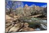 Shores of the Virgin River and Winter Trees, Pa'Rus Trail, Zion National Park, Utah, Usa-Eleanor Scriven-Mounted Photographic Print