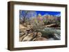 Shores of the Virgin River and Winter Trees, Pa'Rus Trail, Zion National Park, Utah, Usa-Eleanor Scriven-Framed Photographic Print