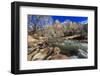 Shores of the Virgin River and Winter Trees, Pa'Rus Trail, Zion National Park, Utah, Usa-Eleanor Scriven-Framed Photographic Print