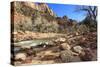 Shores of the Virgin River in Winter, Zion Canyon, Zion National Park, Utah, Usa-Eleanor Scriven-Stretched Canvas