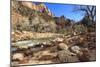 Shores of the Virgin River in Winter, Zion Canyon, Zion National Park, Utah, Usa-Eleanor Scriven-Mounted Photographic Print