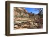 Shores of the Virgin River in Winter, Zion Canyon, Zion National Park, Utah, Usa-Eleanor Scriven-Framed Photographic Print