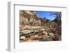 Shores of the Virgin River in Winter, Zion Canyon, Zion National Park, Utah, Usa-Eleanor Scriven-Framed Photographic Print