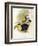 Short-Billed Toucan-John Gould-Framed Giclee Print