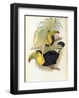 Short-Billed Toucan-John Gould-Framed Giclee Print