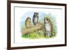 Short-Eared Owl and Screech Owl-Theodore Jasper-Framed Art Print