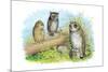 Short-Eared Owl and Screech Owl-Theodore Jasper-Mounted Art Print