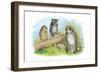 Short-Eared Owl and Screech Owl-Theodore Jasper-Framed Art Print