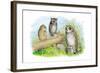 Short-Eared Owl and Screech Owl-Theodore Jasper-Framed Art Print