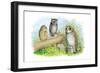 Short-Eared Owl and Screech Owl-Theodore Jasper-Framed Art Print