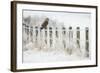 Short-Eared Owl (Asio Flammeus) Perched on a Fence Post, Worlaby Carr, Lincolnshire, England, UK-Danny Green-Framed Photographic Print