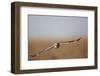 Short-Eared Owl in Flight, Prairie Ridge Sna, Marion, Illinois, Usa-Richard ans Susan Day-Framed Photographic Print