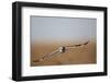 Short-Eared Owl in Flight, Prairie Ridge Sna, Marion, Illinois, Usa-Richard ans Susan Day-Framed Photographic Print