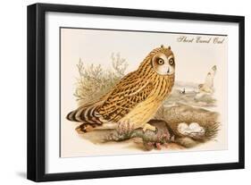 Short Eared Owl-John Gould-Framed Art Print