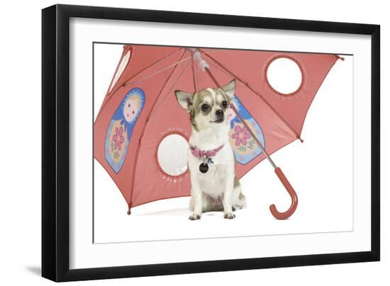 Photographic Print, , large