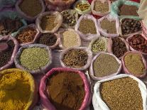 Spices for Sale, Margao Market, Goa, India-Short Michael-Photographic Print