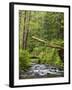 Short Sand Creek, Oswald West State Park, Oregon, USA-Jamie & Judy Wild-Framed Premium Photographic Print