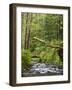 Short Sand Creek, Oswald West State Park, Oregon, USA-Jamie & Judy Wild-Framed Photographic Print