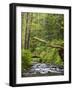 Short Sand Creek, Oswald West State Park, Oregon, USA-Jamie & Judy Wild-Framed Photographic Print