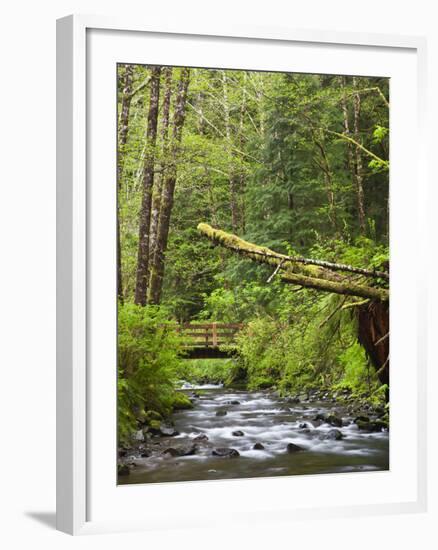 Short Sand Creek, Oswald West State Park, Oregon, USA-Jamie & Judy Wild-Framed Photographic Print