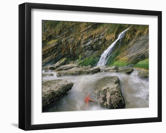 Short Sands Beach-Steve Terrill-Framed Photographic Print