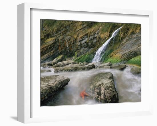 Short Sands Beach-Steve Terrill-Framed Photographic Print