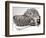 Short Sighted Hedgehog-null-Framed Photographic Print